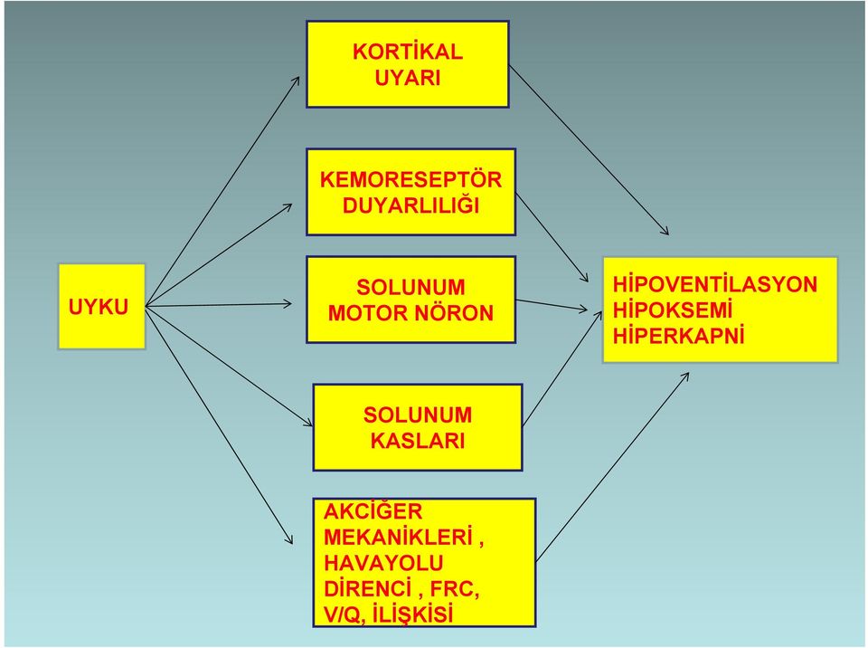 HİPOKSEMİ HİPERKAPNİ SOLUNUM KASLARI