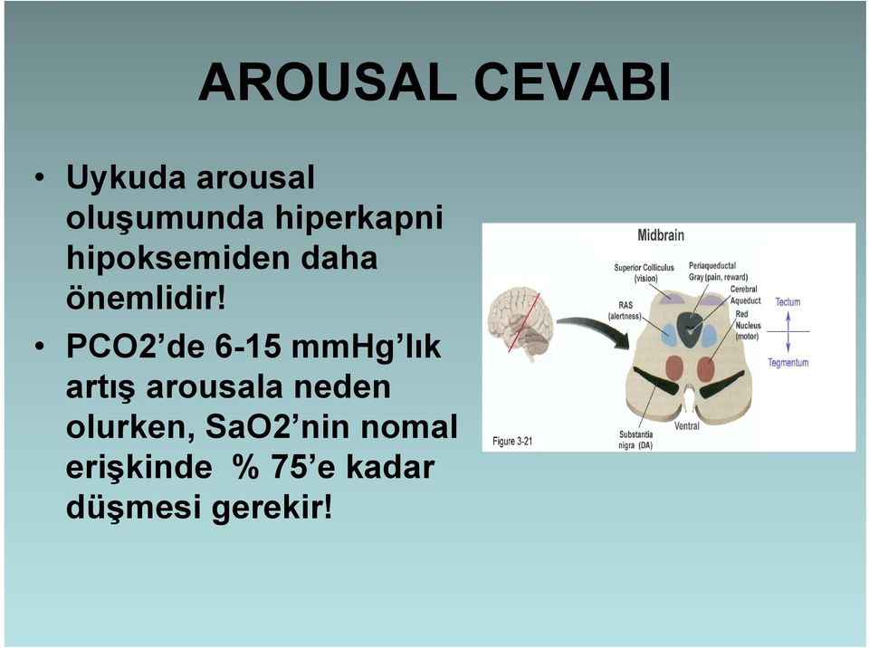 PCO2 de 6-15 mmhg lık artış arousala neden