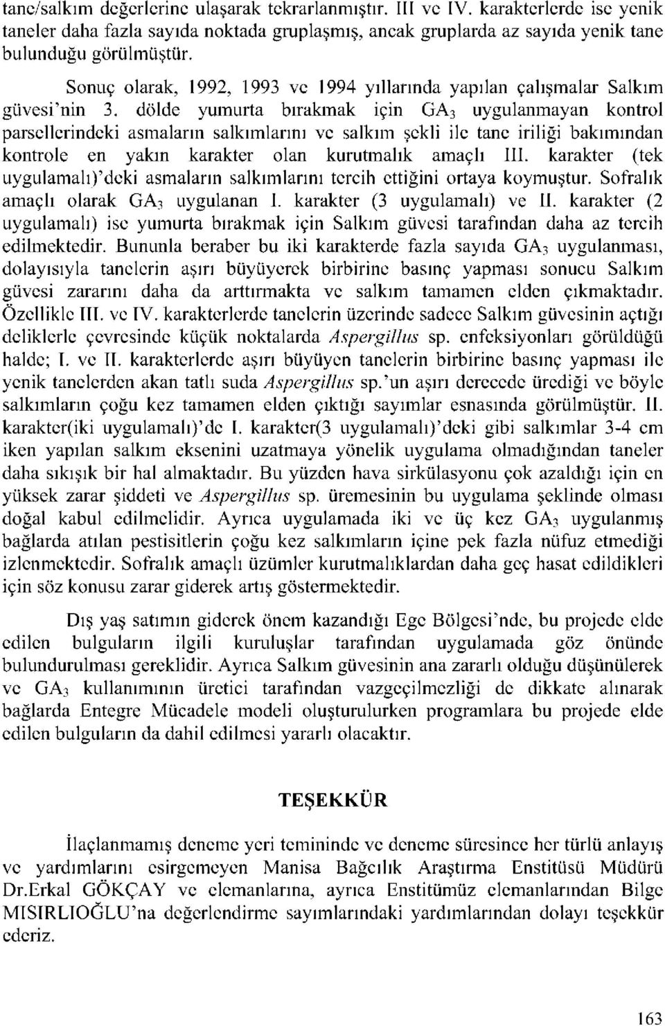 dölde yumurta bırakmak için GA 3 uygulanmayan kontrol parsellerindeki asmaların salkımlarını ve salkım şekli ile tane iriliği bakımından kontrole en yakın karakter olan kurutmalık amaçlı III.