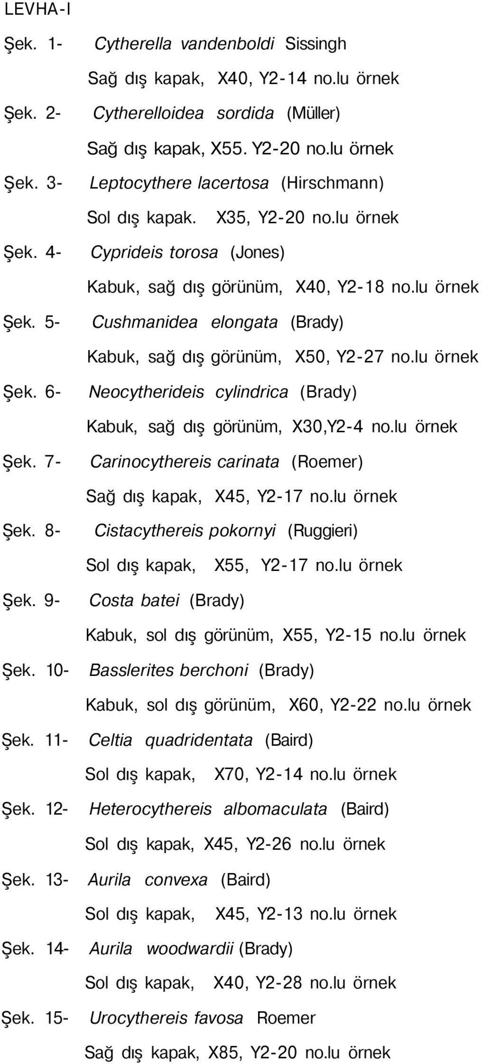 6- Cushmanidea elongata (Brady) Kabuk, sağ dış görünüm, X50, Y2-27 no.lu örnek Neocytherideis cylindrica (Brady) Kabuk, sağ dış görünüm, X30,Y2-4 no.lu örnek Şek. 7- Şek. 8- Şek. 9- Şek.