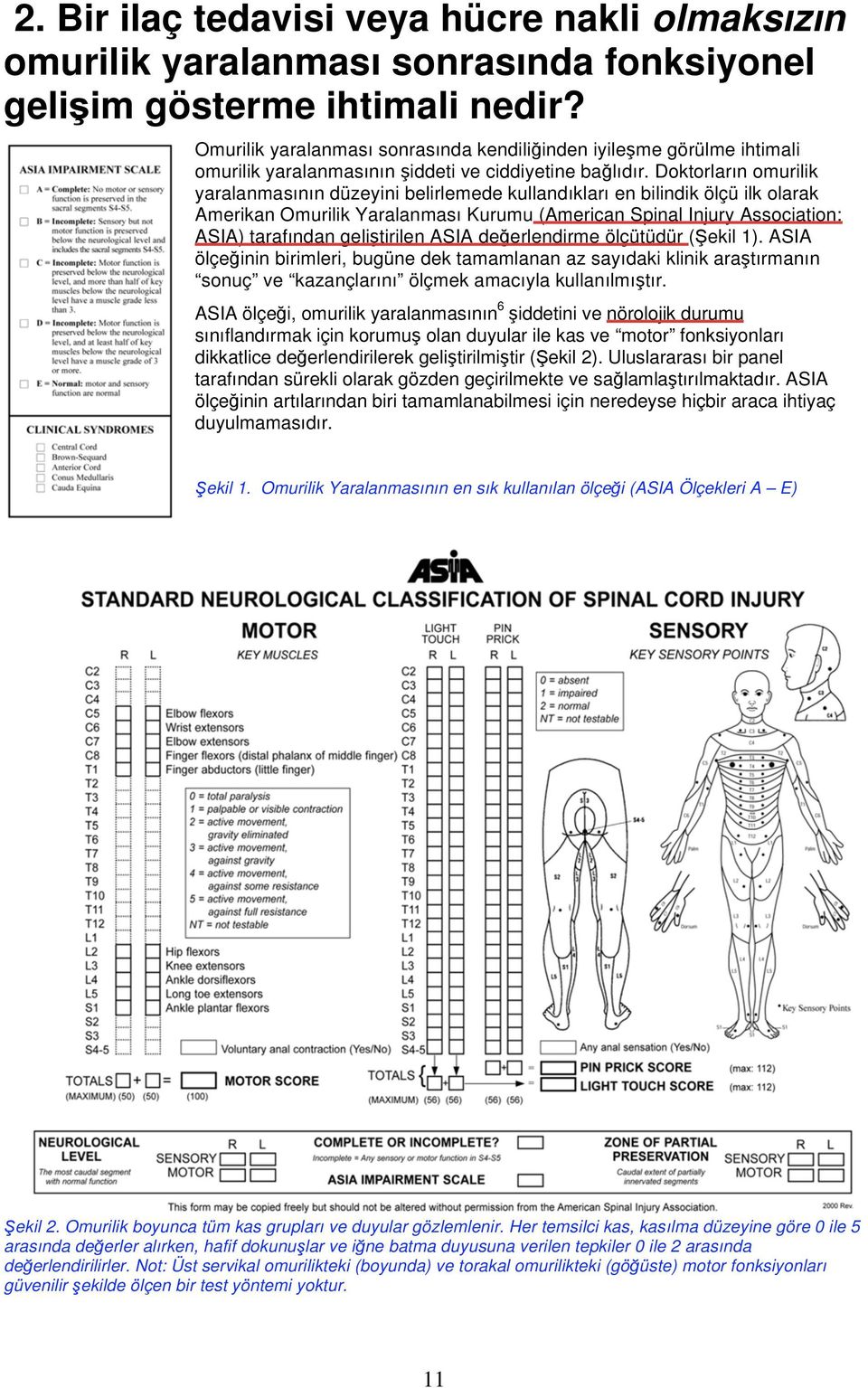 Doktorların omurilik yaralanmasının düzeyini belirlemede kullandıkları en bilindik ölçü ilk olarak Amerikan Omurilik Yaralanması Kurumu (American Spinal Injury Association: ASIA) tarafından geli