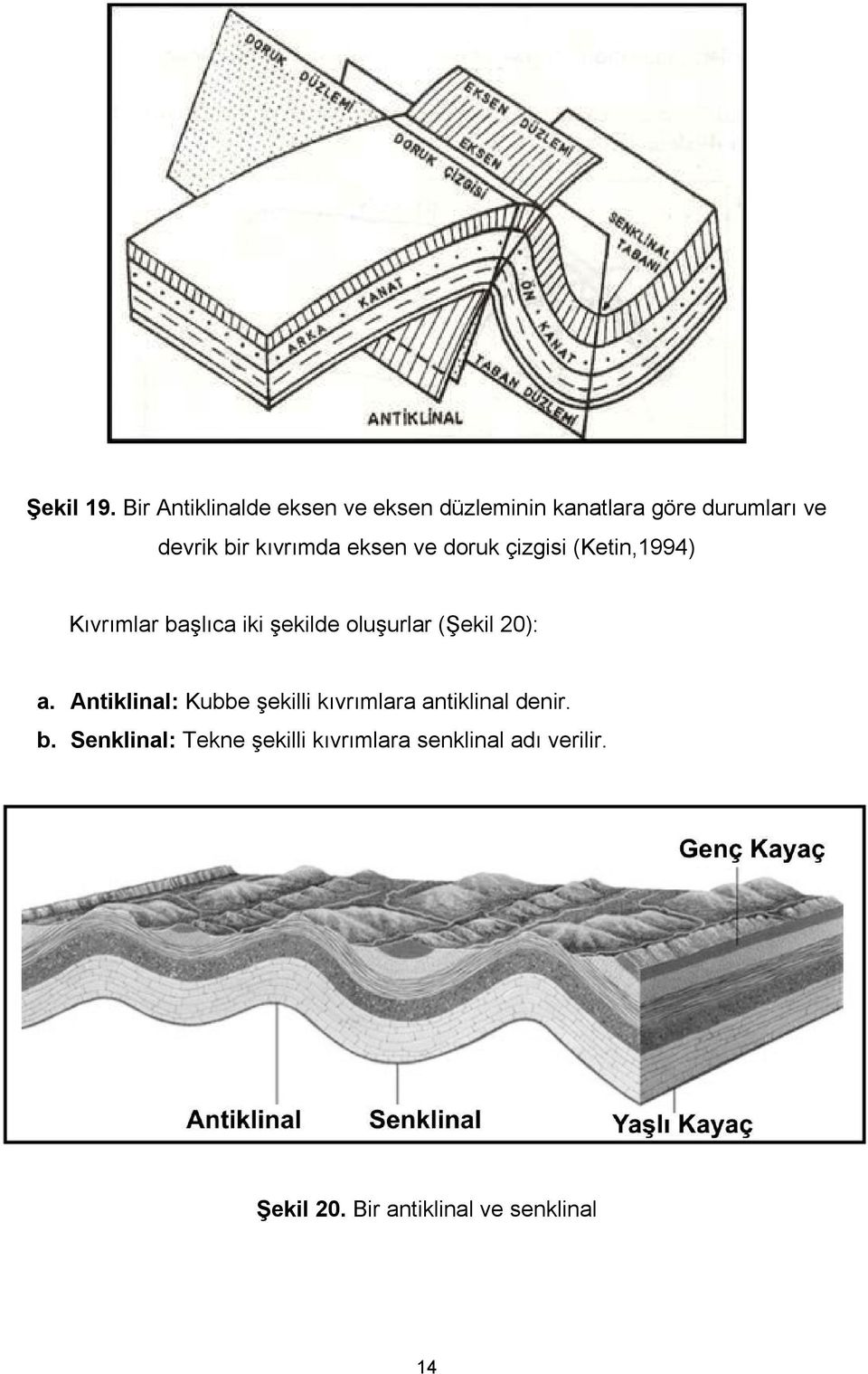kıvrımda eksen ve doruk çizgisi (Ketin,1994) Kıvrımlar başlıca iki şekilde oluşurlar