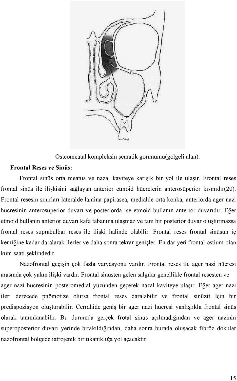 Frontal resesin sınırları lateralde lamina papirasea, medialde orta konka, anteriorda ager nazi hücresinin anterosüperior duvarı ve posteriorda ise etmoid bullanın anterior duvarıdır.