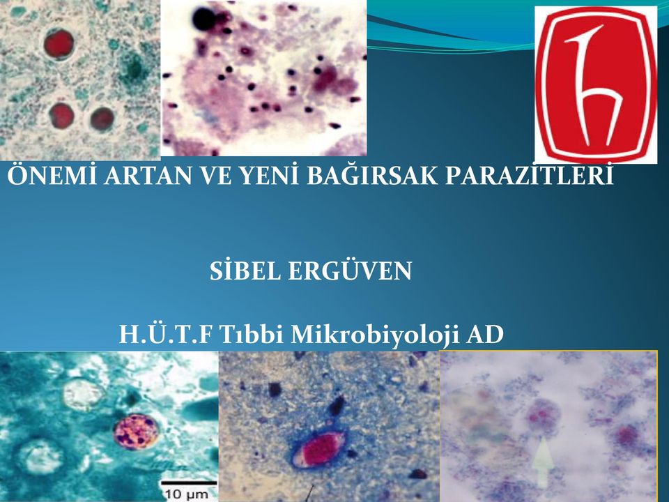 SİBEL ERGÜVEN H.Ü.T.