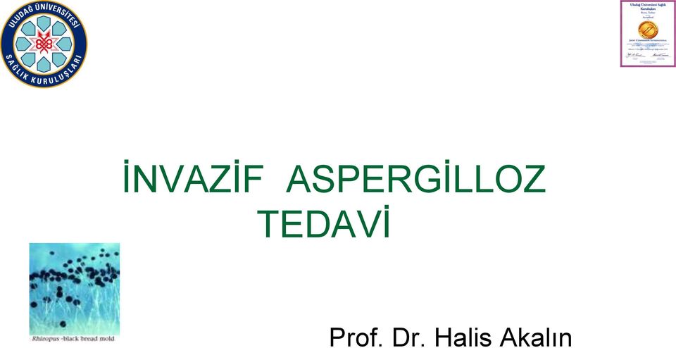 TEDAVİ Prof.