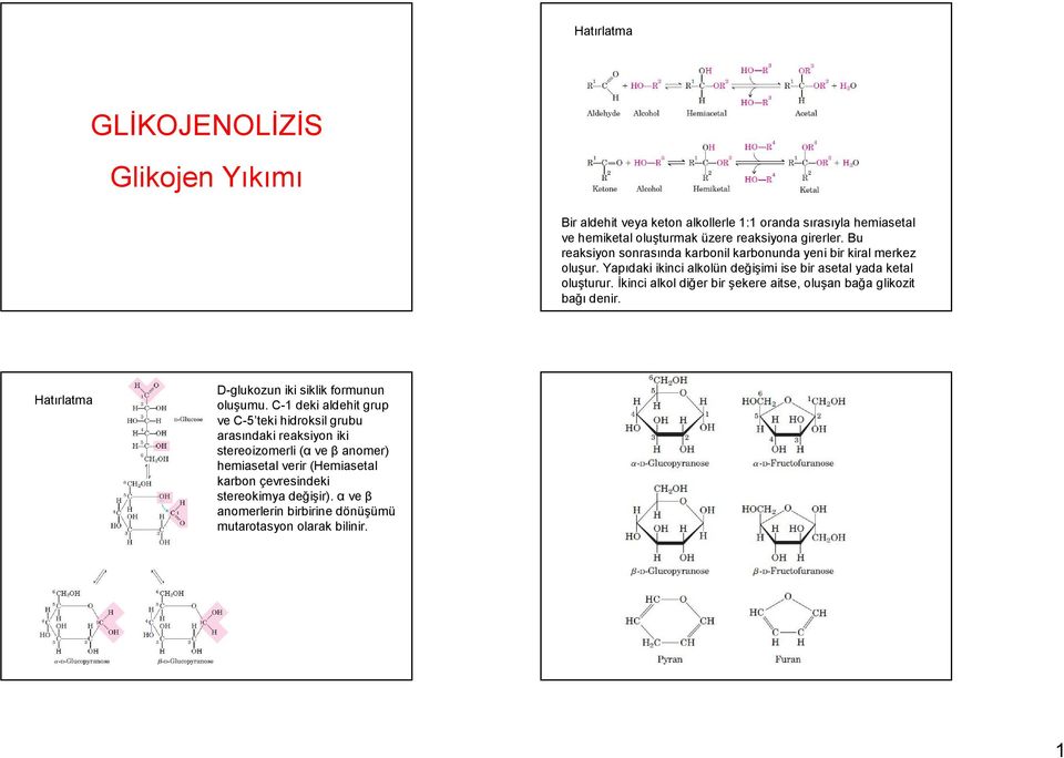 İkinci alkol diğer bir şekere aitse, oluşan bağa glikozit bağı denir. Hatırlatma D-glukozun iki siklik formunun oluşumu.
