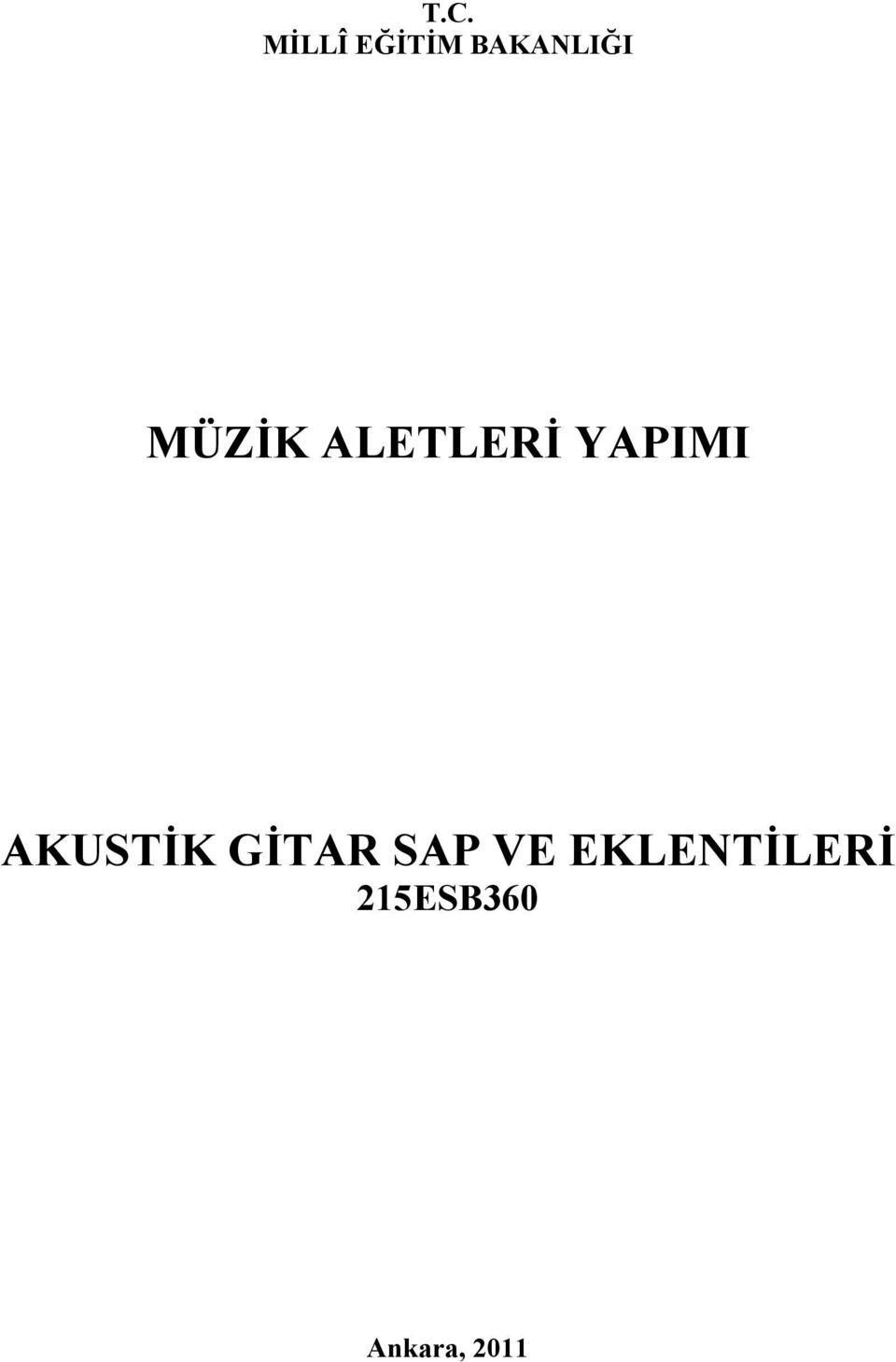 YAPIMI AKUSTİK GİTAR SAP