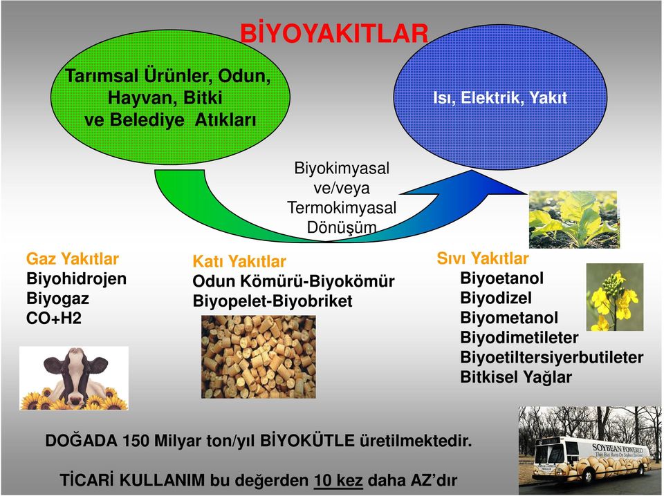 Biyopelet-Biyobriket Sıvı Yakıtlar Biyoetanol Biyodizel Biyometanol Biyodimetileter