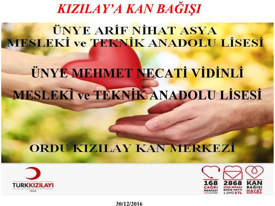 VİDİNLİ MESLEKİ ve