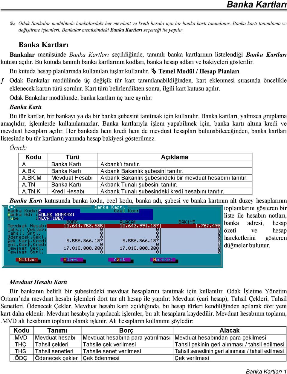 Banka Kartları Bankalar menüsünde Banka Kartları seçildiğinde, tanımlı banka kartlarının listelendiği Banka Kartları kutusu açılır.