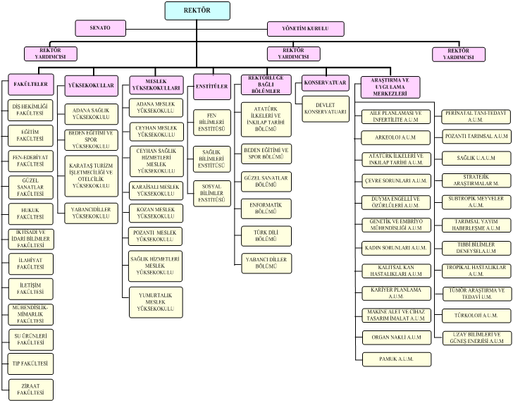 Üniversitemiz Akademik TeĢkilat Yapısı