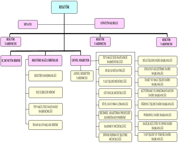 Üniversitemiz Ġdari TeĢkilat Yapısı