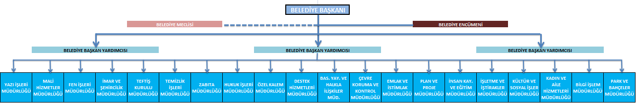 C- Teşkilat Yapısı