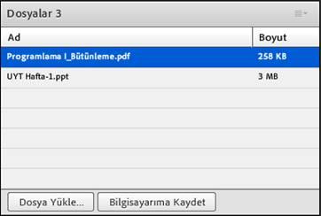 Dosya Paylaşımı bölmesinde, Dosya Yükle'yi tıklatın veya bu komutu bölme menüsünden seçin 3.