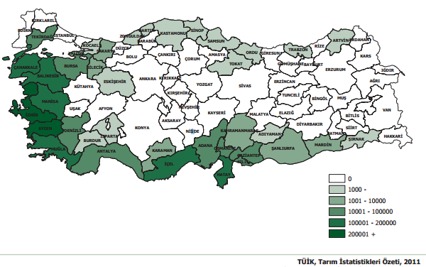 Türkiye de zeytin yetiştiriciliği beş bölgede dağılım göstermektedir. Bu bölgeler ve özellikleri kısaca şöyle özetlenebilir; Marmara Bölgesi; salamuralık zeytin üretiminin hakim olduğu bir yöredir.