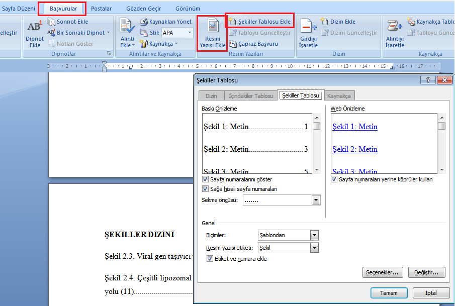 4.7. Simgeler Dizini Metin içinde kullanılan simgelerin genel bir gösteriminin yapıldığı bölümdür. Simgeler dizininin düzeni internet sitesindeki formattaki gibi olmalıdır. 4.8.