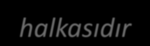 Flavin Mononukleotid (FMN) ve Flavin Adenin Dinükleotid (FAD) Riboflavinden (vitamin B 2 ) sentezlenen bir H + taşıyıcısıdır.