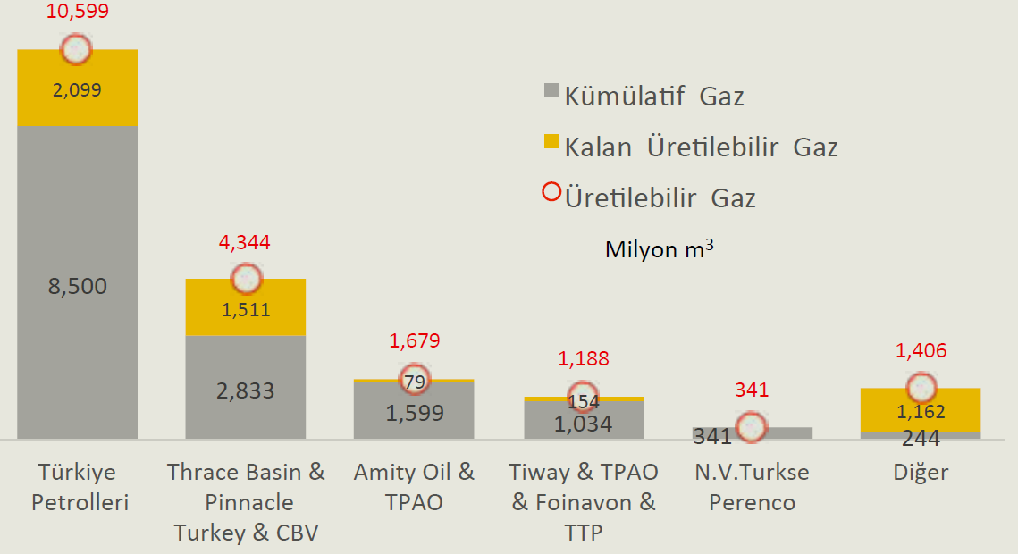 ġekil 3.2 2014 Yılı Şirketlere Göre Türkiye Doğal Gaz Rezervleri Kaynak: PİGM ve TPAO 2014 Ham Petrol ve Doğal Gaz Sektör Raporu 3.