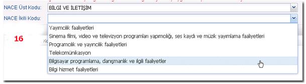 ÖRNEK: İşletme Türü: İmalat dışı çalışıyorum Nace Üst Kodu: BİLGİ VE İLETİŞİM 16. 15.