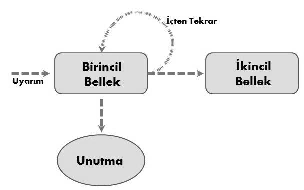 belleğin türleri olan kısa süreli ve uzun süreli bellek olarak gösterilmektedir. Unutma, bu aşamaların herhangi birinde oluşan aksaklık olarak yorumlanmaktadır (5, 43). Bellekte Tutulur Şekil 5.