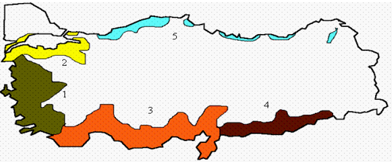 Şekil 2: Türkiye de Zeytin Üretim Alanları, T.C., Gümrük ve Ticaret Bakanlığı Kooperatifçilik Genel Müdürlüğü, Zeytin ve Zeytinyağı Raporu, 2016.