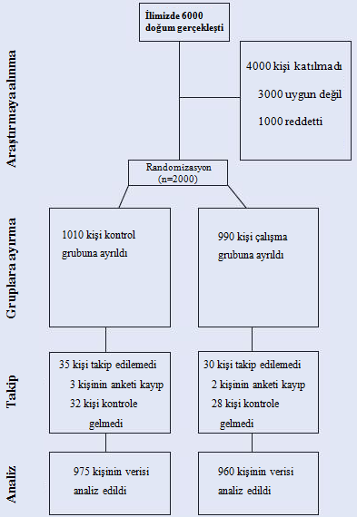 Şekil: Randomize kontrollü bir araģtırma için CONSORT bildirisi taslağı.