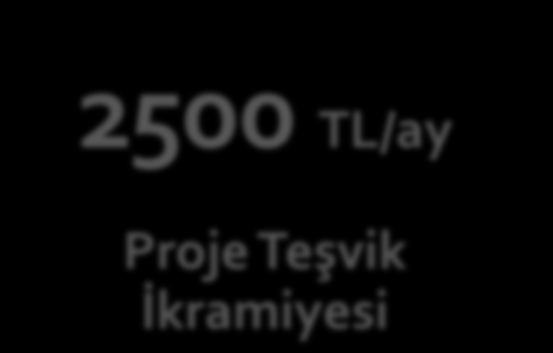 1003 Öncelikli Alanlar Ar-Ge Projeleri Destek Programı Üniversite Doktora Derecesi Kamu/Özel Kuruluş Lisans Mezunu 2500 TL/ay Destek Süresi Küçük Ölçek 24 ay Orta/Büyük Ölçek 36 ay Destek Miktarı