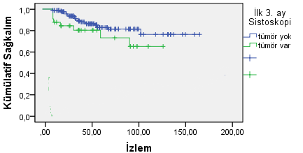 44 Şekil 4.16. T1 tümörlerde tümör boyutuna göre genel sağkalım eğrisi Hastaların yapılan ilk 3.