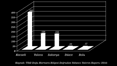 yabancı sermayeli şirket, yatırımları