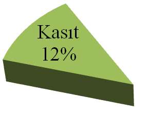 KASIT İnsanların zarar verme istekleri, kötü niyetleri, isteyerek ve bilerek orman yakmaları sonucu ortaya çıkan yangın nedenleridir.