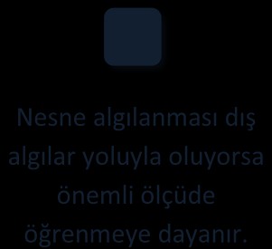 İnsan, duyu süreçleri bağlamında iç ve dış algılar yoluyla çevresindeki olayları değerlendirir.