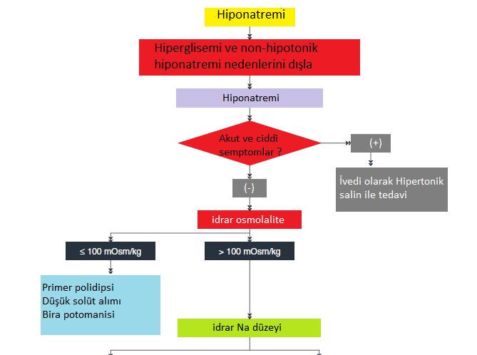 Hiponatremili