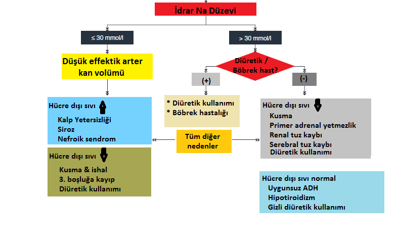 Hiponatremili Hastaya Yaklaşım