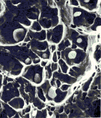 Sülfür kalıntısı Şekil mikrokosbik seviyede bir çatlak mikroboşlukları oluşması ve birleşmesiyle meydana gelir.