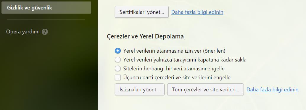 Açılır menüde ki zaman aralığı En Baştan olacak şekilde ayarlanır, tüm onay kutucukları işaretlenir ve Tarama Verilerini Temizle butonuna tıklanır.