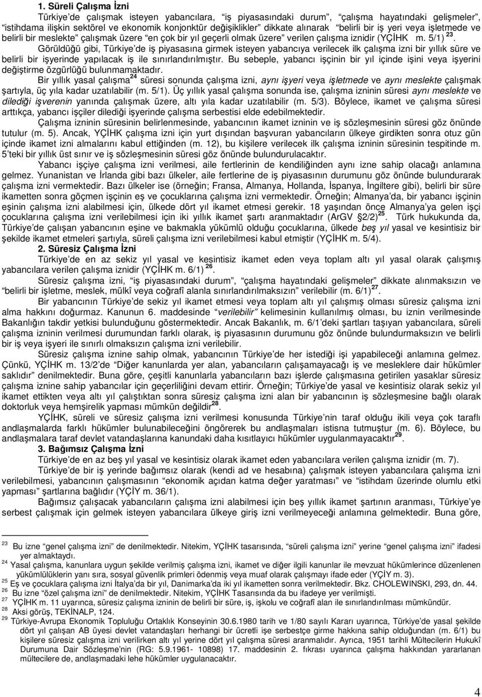 Görüldüğü gibi, Türkiye de iş piyasasına girmek isteyen yabancıya verilecek ilk çalışma izni bir yıllık süre ve belirli bir işyerinde yapılacak iş ile sınırlandırılmıştır.