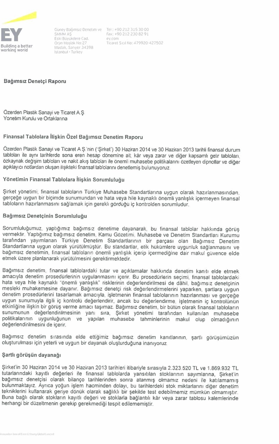 ak, Sariyer 34398 workıng world İstanbul Turkey Özerden Plastik Sanayi ve Tıcaret AŞ nin ÇŞirket ) 30 Haziran 2014 ve 30 Haziran 2013 tarihli finansal durum tabloları ile aynı tarihlerde sona eren