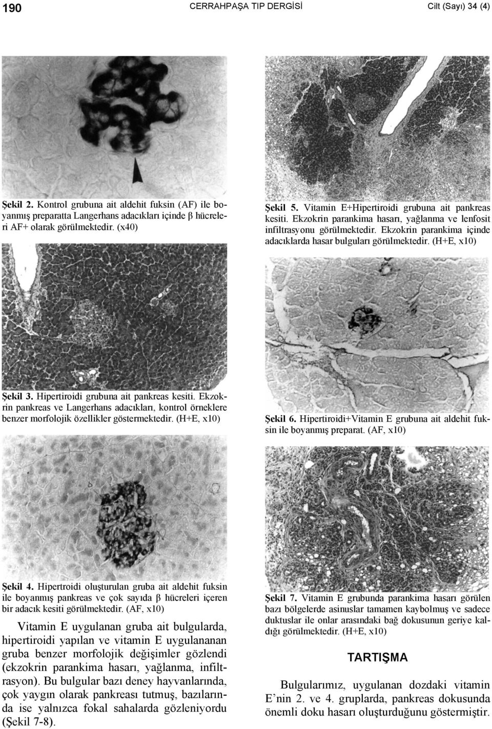 (H+E, x10) Şekil 3. Hipertiroidi grubuna ait pankreas kesiti. Ekzokrin pankreas ve Langerhans adacıkları, kontrol örneklere benzer morfolojik özellikler göstermektedir. (H+E, x10) Şekil 6.