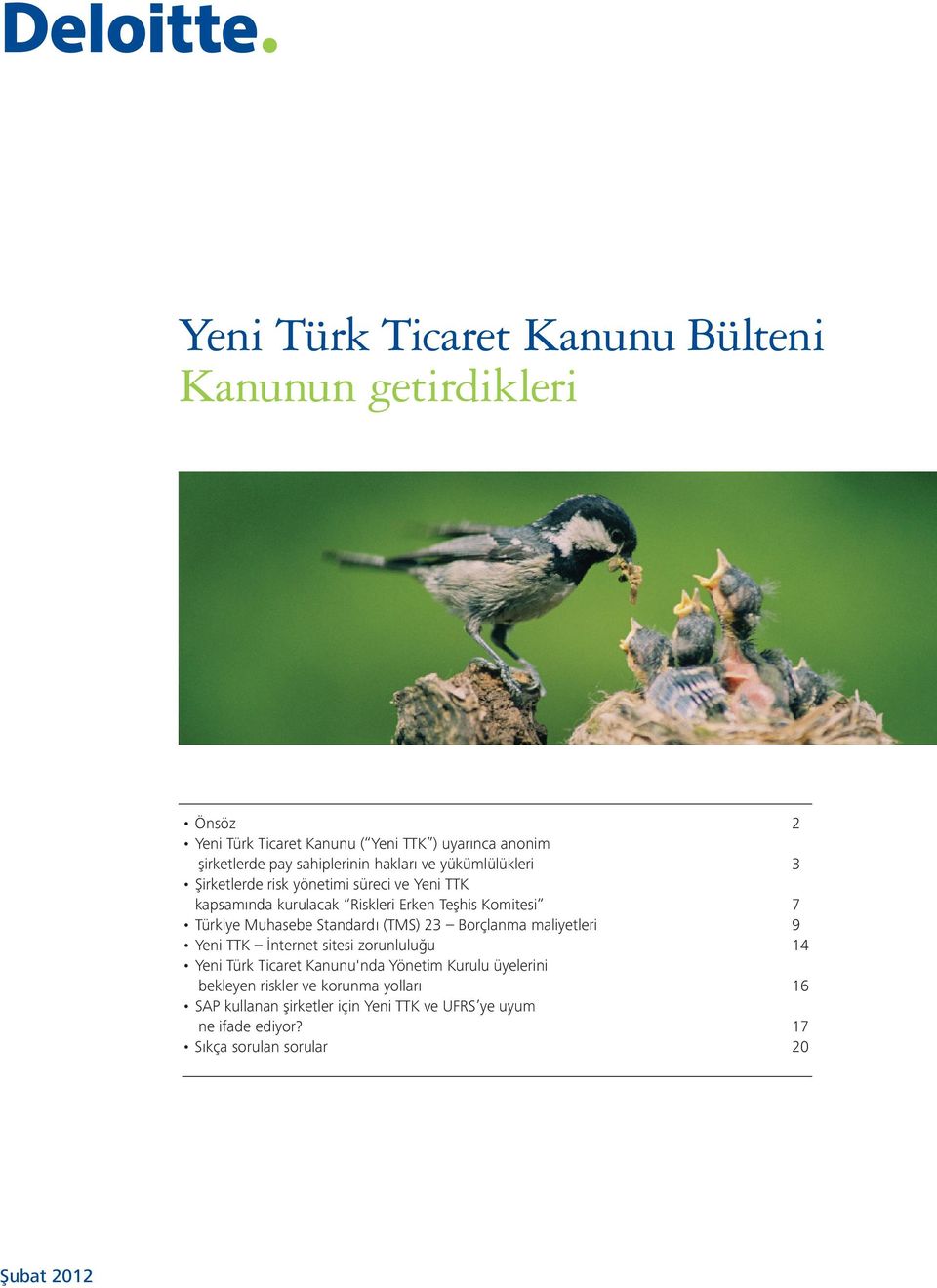 Türkiye Muhasebe Standardı (TMS) 23 Borçlanma maliyetleri 9 Yeni TTK İnternet sitesi zorunluluğu 14 Yeni Türk Ticaret Kanunu'nda Yönetim Kurulu