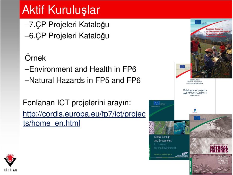 FP6 Natural Hazards in FP5 and FP6 Fonlanan ICT