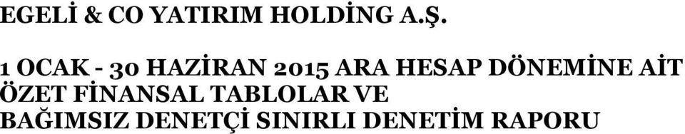 FİNANSAL TABLOLAR VE