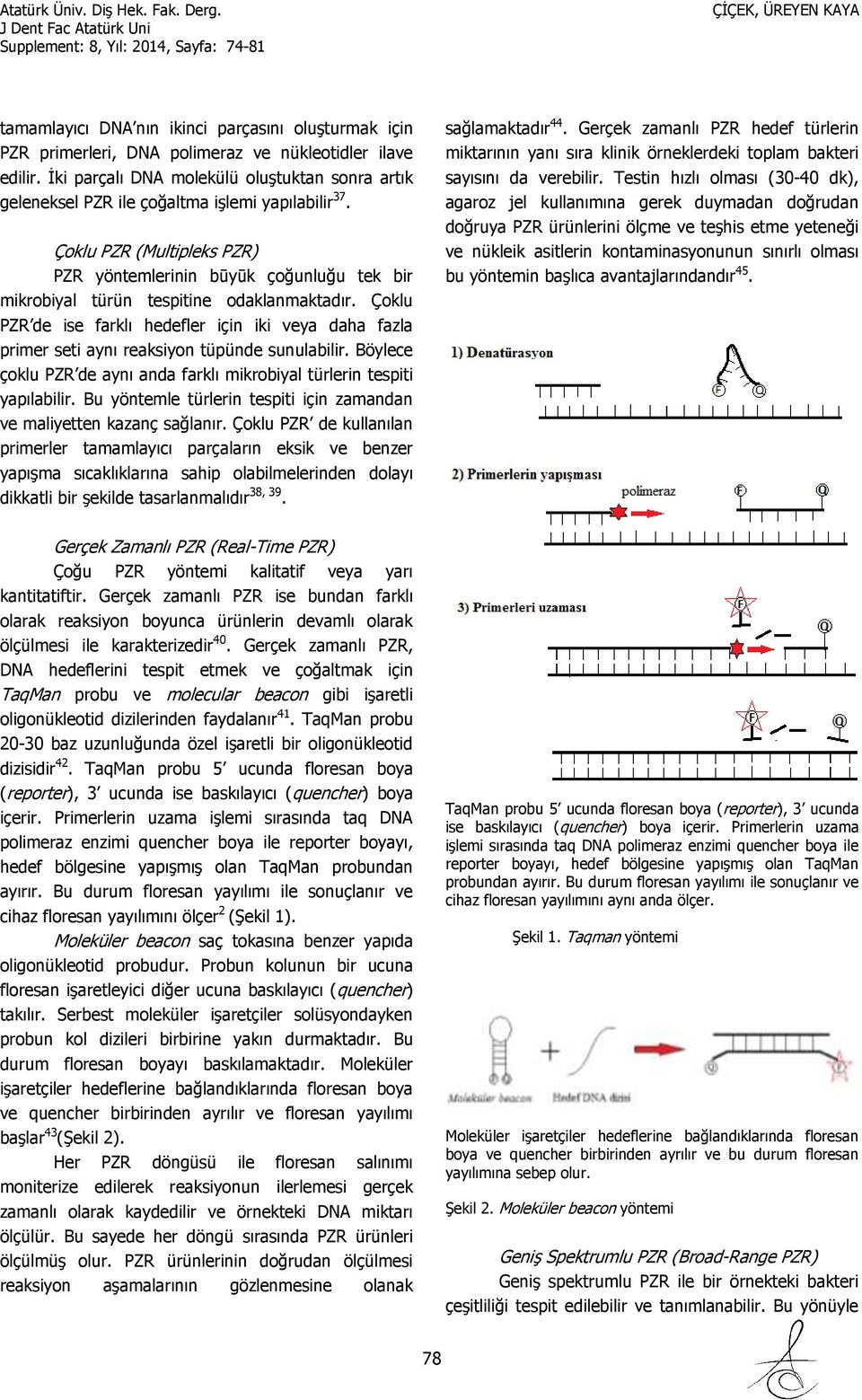 Çoklu PZR (Multipleks PZR) PZR yöntemlerinin būyūk çoğunluğu tek bir mikrobiyal türün tespitine odaklanmaktadır.