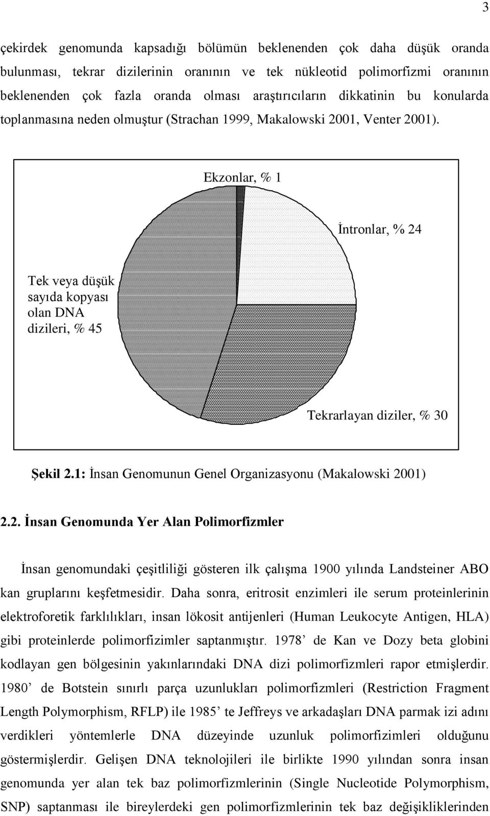 Ekzonlar, % 1 İntronlar, % 24 Tek veya düşük sayıda kopyası olan DNA dizileri, % 45 Tekrarlayan diziler, % 30 Şekil 2.1: İnsan Genomunun Genel Organizasyonu (Makalowski 2001) 2.2. İnsan Genomunda Yer Alan Polimorfizmler İnsan genomundaki çeşitliliği gösteren ilk çalışma 1900 yılında Landsteiner ABO kan gruplarını keşfetmesidir.