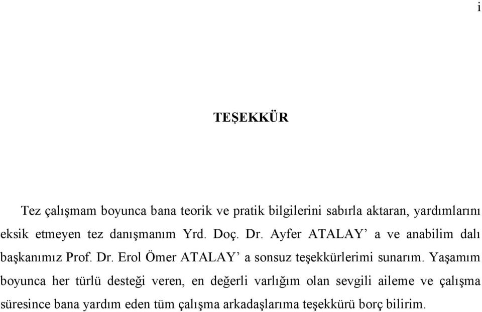 Yaşamım boyunca her türlü desteği veren, en değerli varlığım olan sevgili aileme ve çalışma süresince