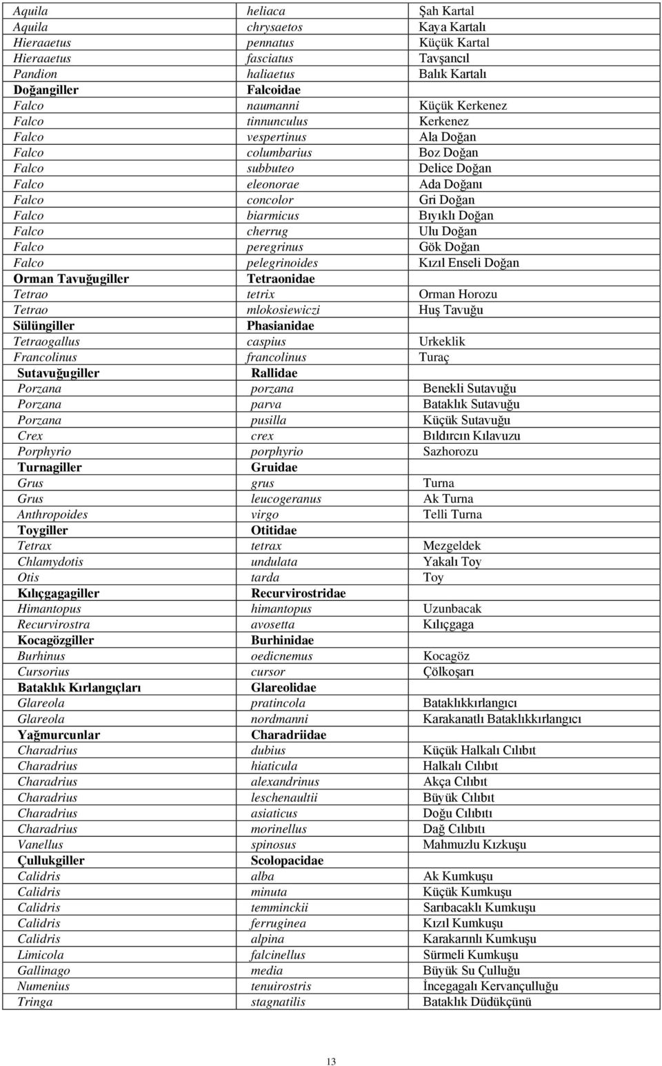 Doğan Falco cherrug Ulu Doğan Falco peregrinus Gök Doğan Falco pelegrinoides Kızıl Enseli Doğan Orman Tavuğugiller Tetraonidae Tetrao tetrix Orman Horozu Tetrao mlokosiewiczi Huş Tavuğu Sülüngiller
