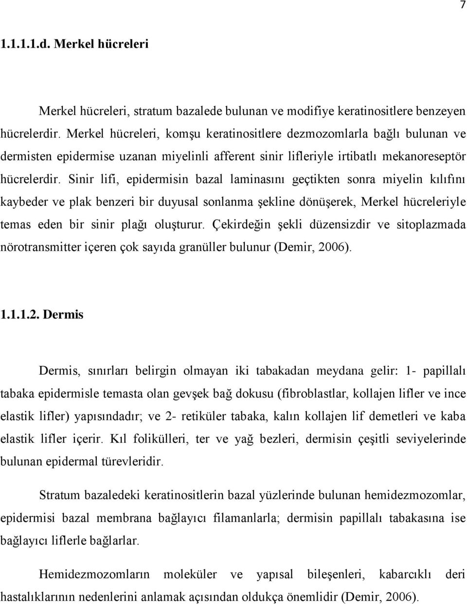 Sinir lifi, epidermisin bazal laminasını geçtikten sonra miyelin kılıfını kaybeder ve plak benzeri bir duyusal sonlanma Ģekline dönüģerek, Merkel hücreleriyle temas eden bir sinir plağı oluģturur.