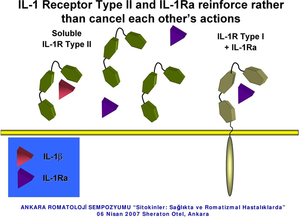 other s actions Soluble IL-1R Type