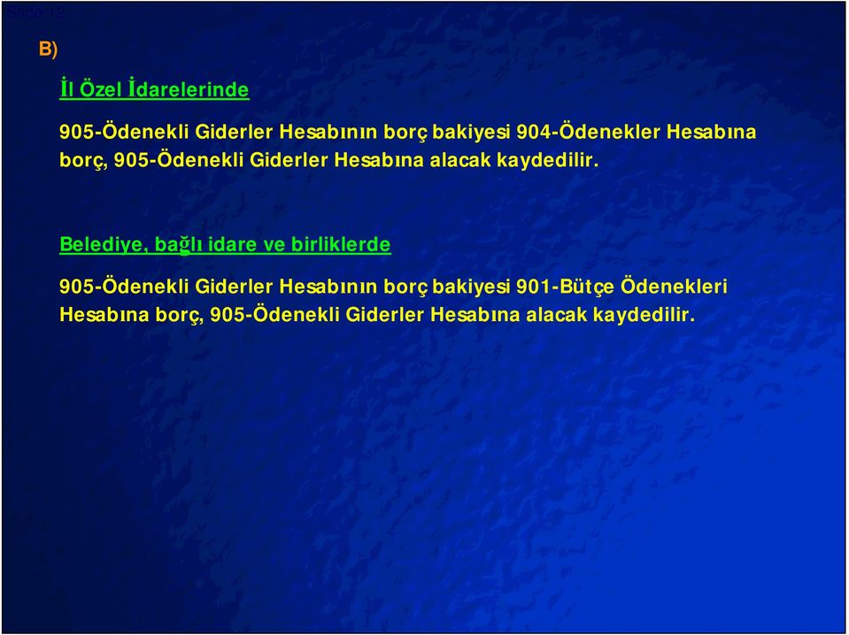 Belediye, ba l idare ve birliklerde 905-Ödenekli Giderler Hesab n n borç