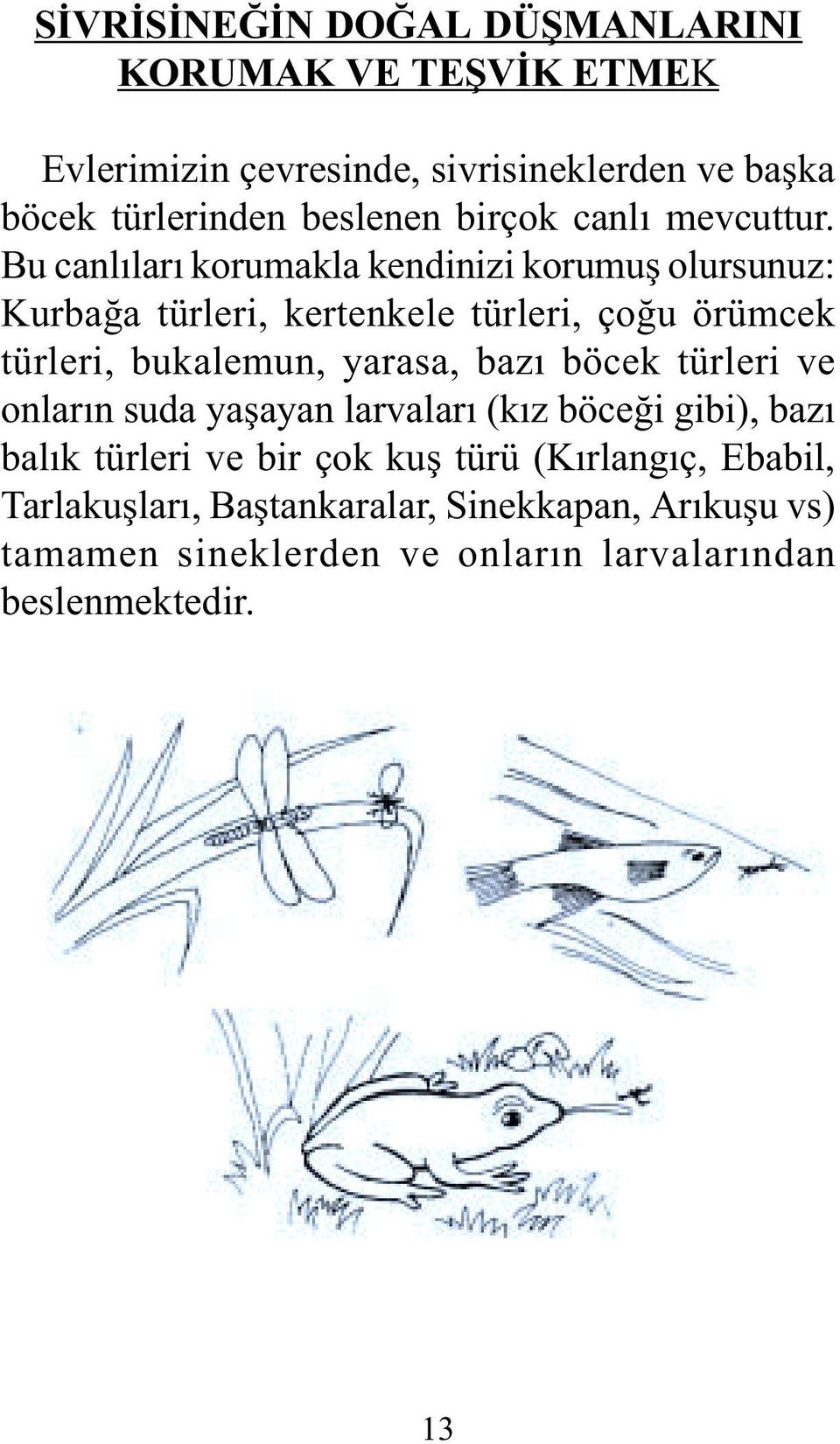 Bu canlýlarý korumakla kendinizi korumuþ olursunuz: Kurbaða türleri, kertenkele türleri, çoðu örümcek türleri, bukalemun, yarasa,