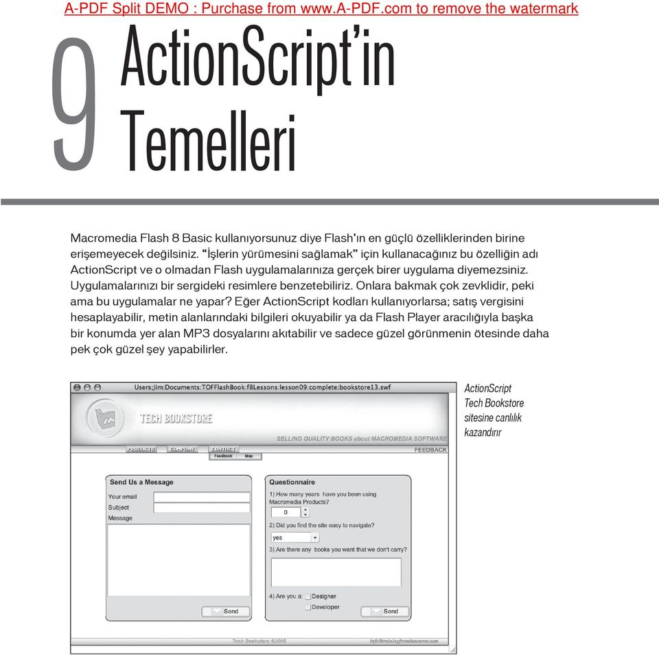 İşlerin yürümesini sağlamak için kullanacağınız bu özelliğin adı ActionScript ve o olmadan Flash uygulamalarınıza gerçek birer uygulama diyemezsiniz.